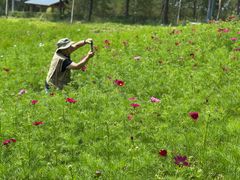 -鄂尔多斯野生动物园