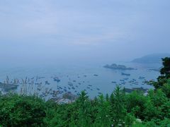 -枸杞岛