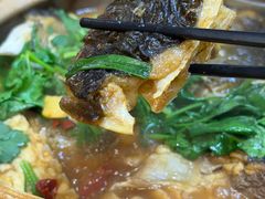 -九道菜有鸡鱼头(石鼓路店)