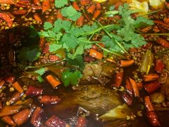 -受气牛肉·重庆耙牛肉(来福士店)