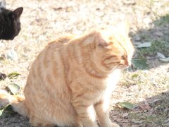 -南京市江宁方山