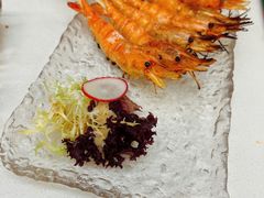 -白仁仔· 活烤海鲜 宵夜(豫园店)