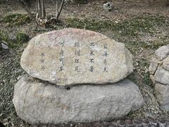 -鑫复盛礼记酒店·青岛菜