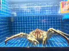 -徽三说·土徽菜·中国徽菜连锁品牌(一中店)