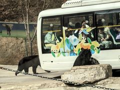 -栾川竹海野生动物园