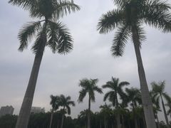 -南宁南湖公园