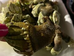 -胖大嫂渔家排档·全海景餐厅(渔村店)