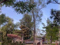 -晋祠公园