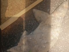 -王家渡火锅店(棕榈泉店)