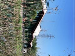 -西湖风景区-江洋畈生态公园