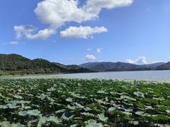 -东钱湖旅游度假区