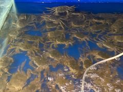 -阳澄湖大闸蟹·琼灵阁牌品牌连锁(吴中总店)