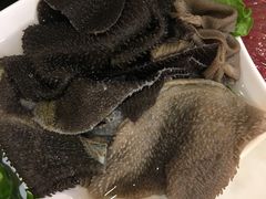 -朱氏胖子烂火锅(洪崖洞店)