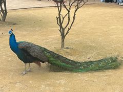 -杭州野生动物世界