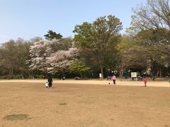 -井之头恩赐公园