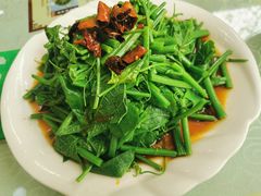 -上庄晋风庄园(上庄店)