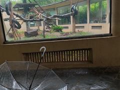 -合肥野生动物园
