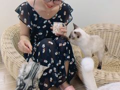 -李小姐の猫咖啡馆(五角场店)