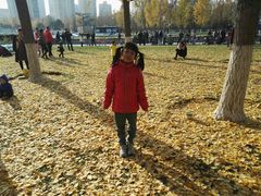 -中国宋庆龄青少年科技文化交流中心