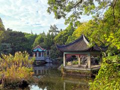 -叶家花园