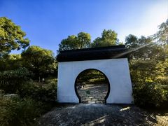 -上海共青森林公园