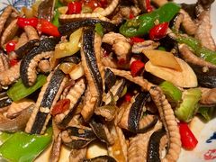 -Mountain House East Village 川山甲