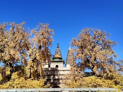 -北京石刻艺术博物馆(五塔寺)