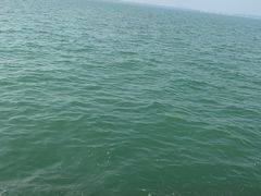 -东疆建设开发纪念公园