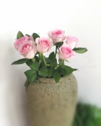 -翎兰瑜伽·普拉提