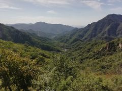 -大岭沟猕猴桃谷风景区