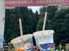 -旗山国家森林公园