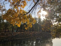 -奥林匹克森林公园南门-停车场