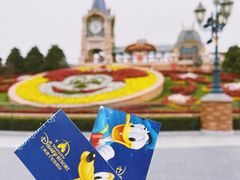 -上海迪士尼度假区