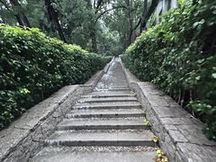 -北极阁公园