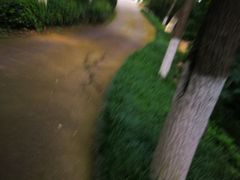 -石老人观光园