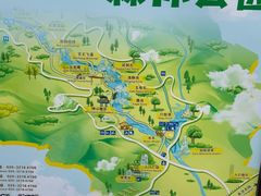 -广州白江湖森林公园