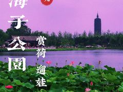 -西海子公园