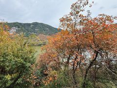 -九女仙湖景区