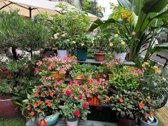 -山水茶艺馆·点心粤菜·30年老字号