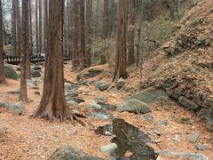 -国家植物园南园