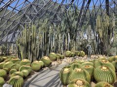 -深圳仙湖植物园