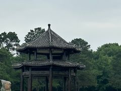 -东湖落雁景区