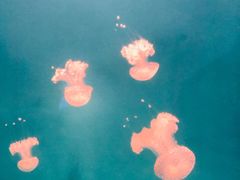 -长春农博园