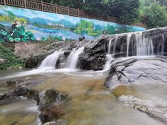 -广州白江湖森林公园