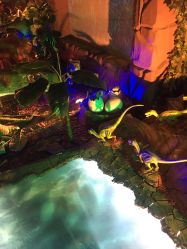 -恐龙探索乐园(磁器口店)