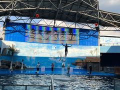 -石林冰雪海洋世界