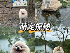 -南山风景名胜区