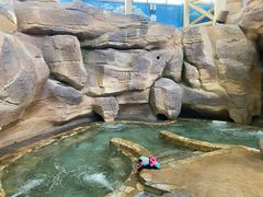 -杭州开元森泊度假乐园