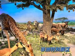 -国家自然博物馆