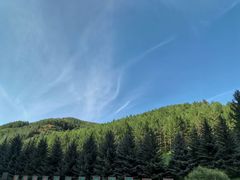 -塞罕坝国家级自然保护区